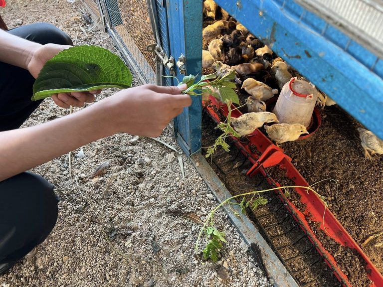 Youth-Club-Visi-Mantap-11